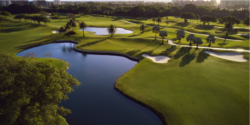 Championship golf